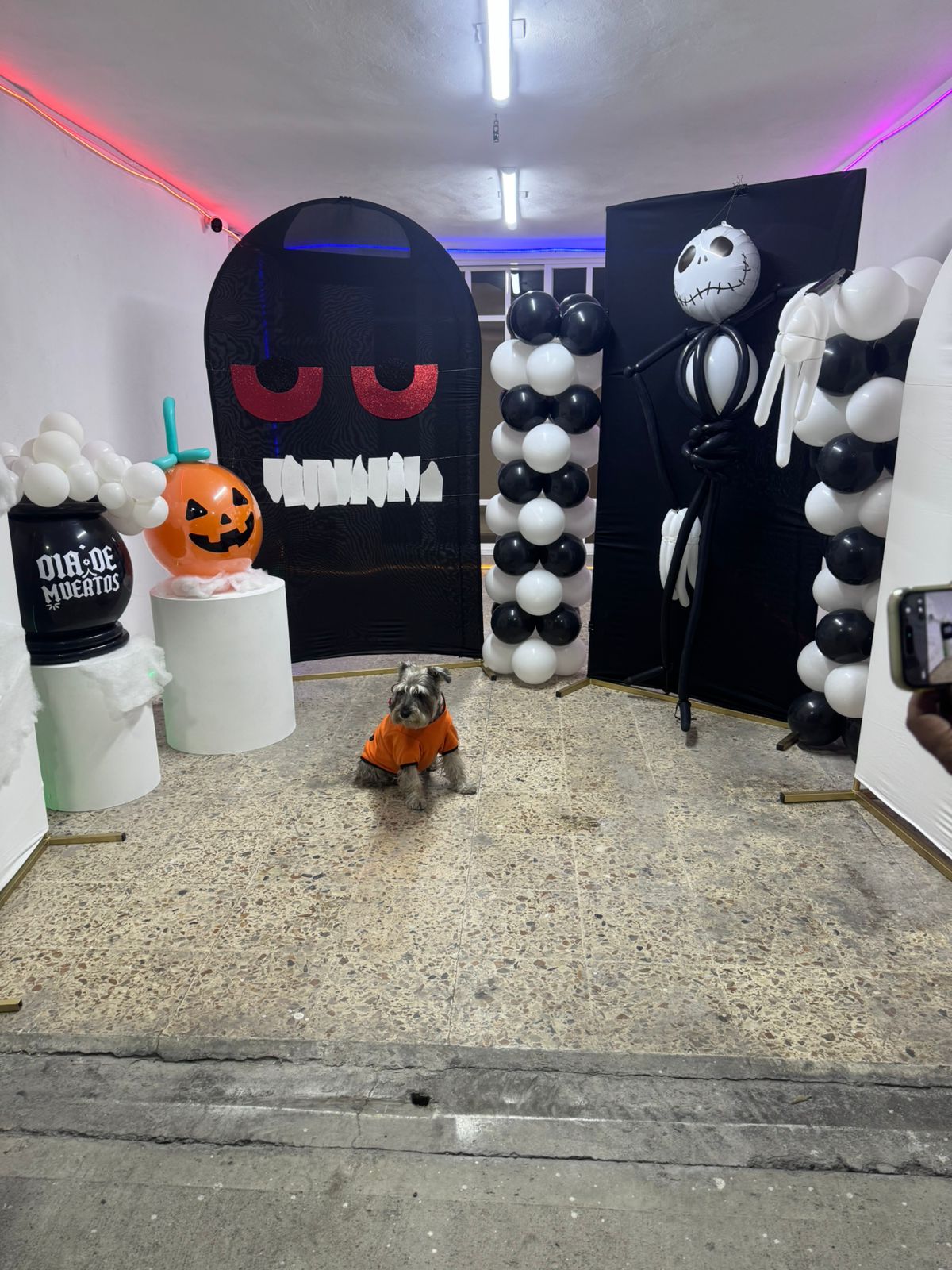 Arreglo de globos 15